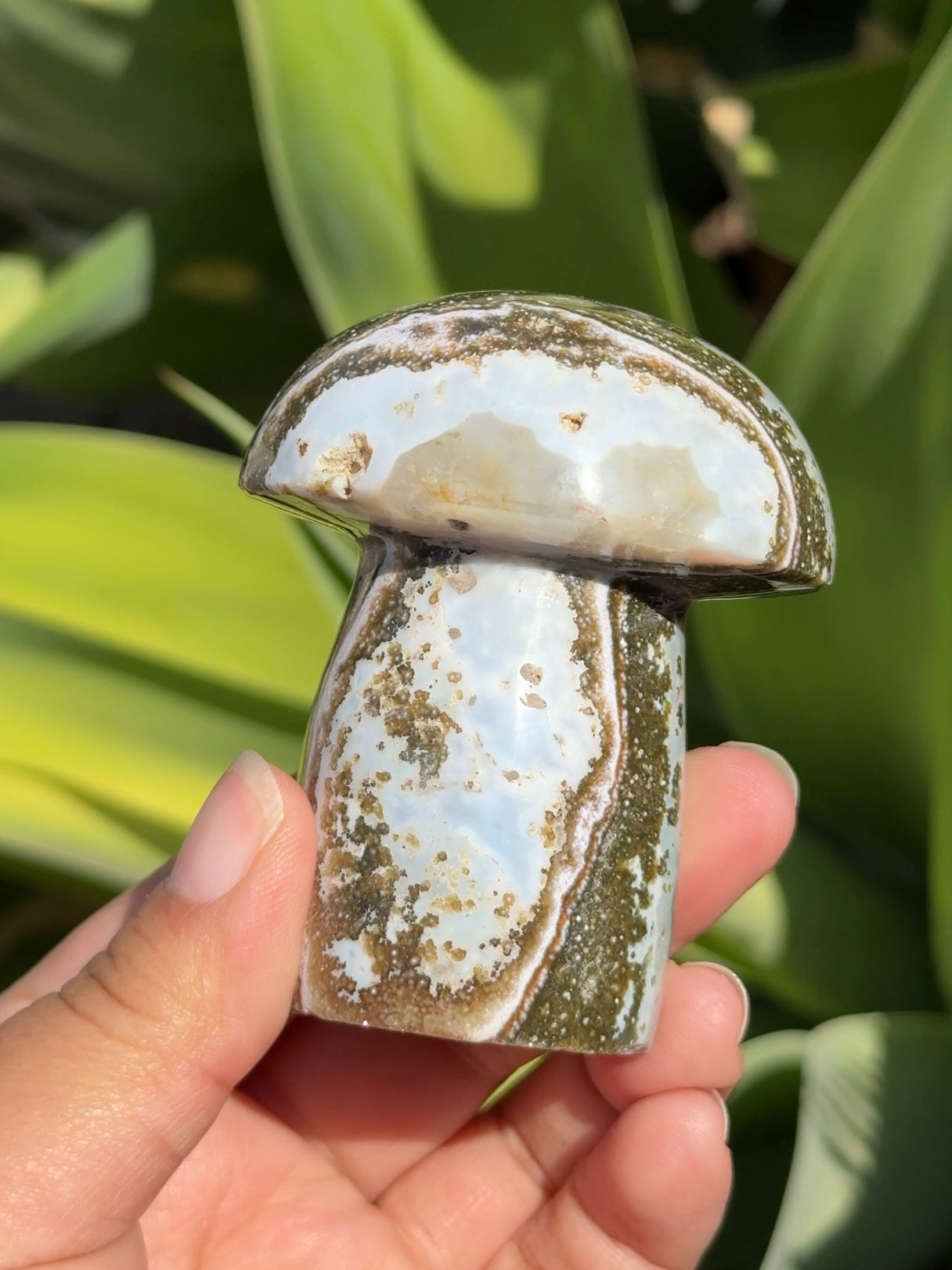 
                  
                    Ocean Jasper Mushroom
                  
                