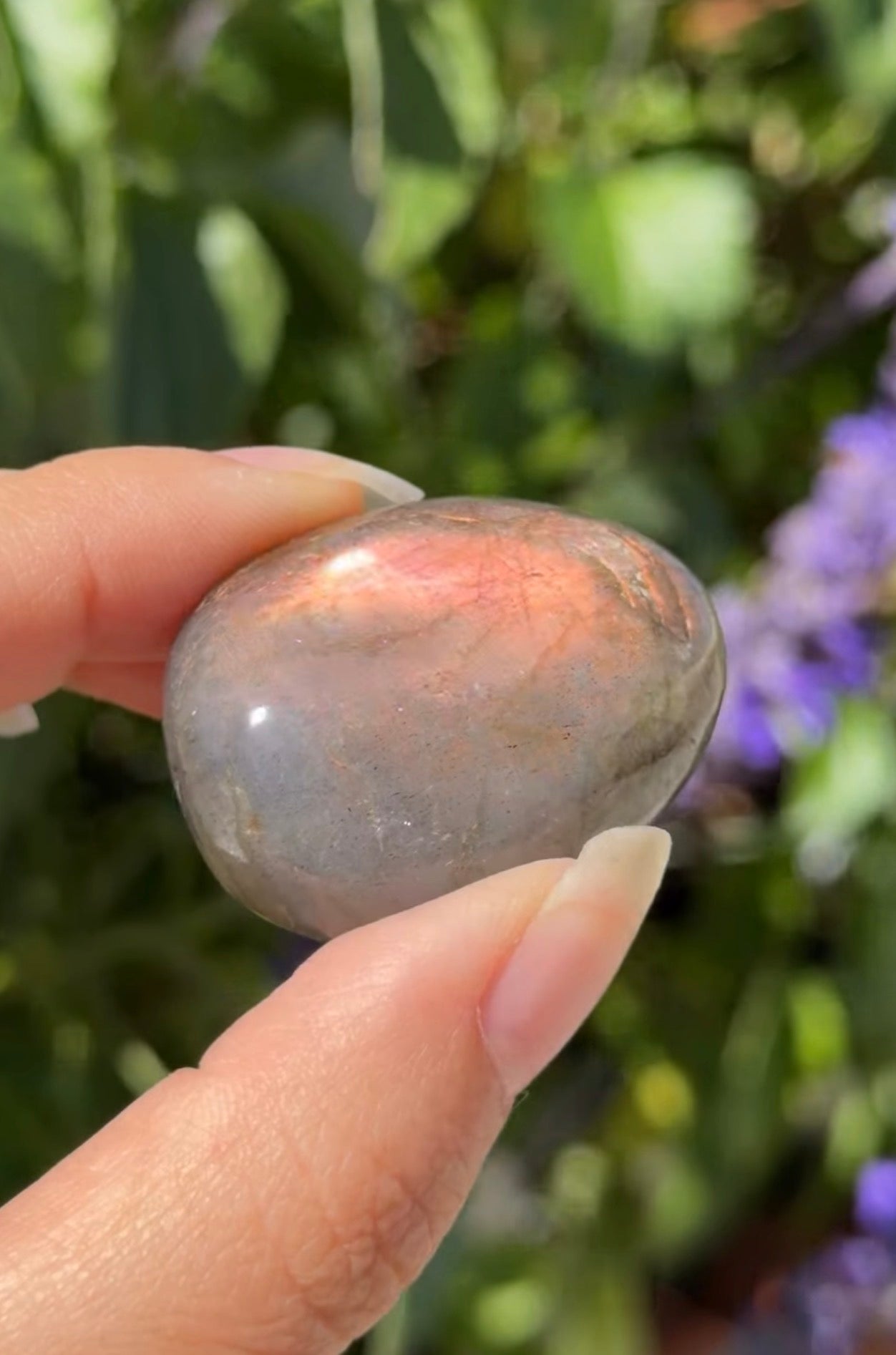 
                  
                    RESERVED LISTING - lavender.starlight.dreams
                  
                