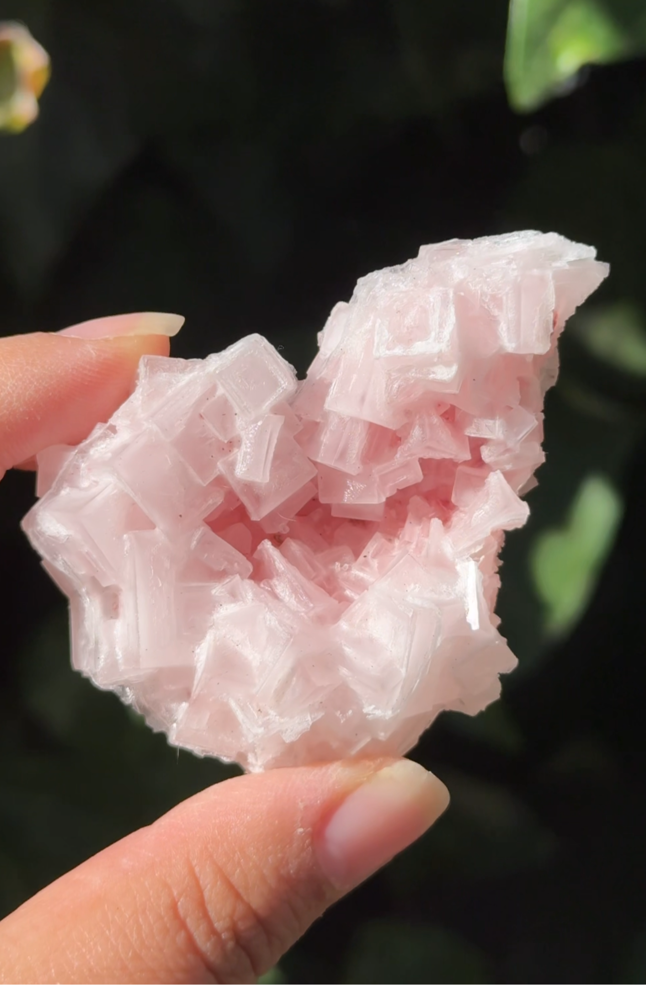 
                  
                    RESERVED LISTING - carly.cylar_
                  
                