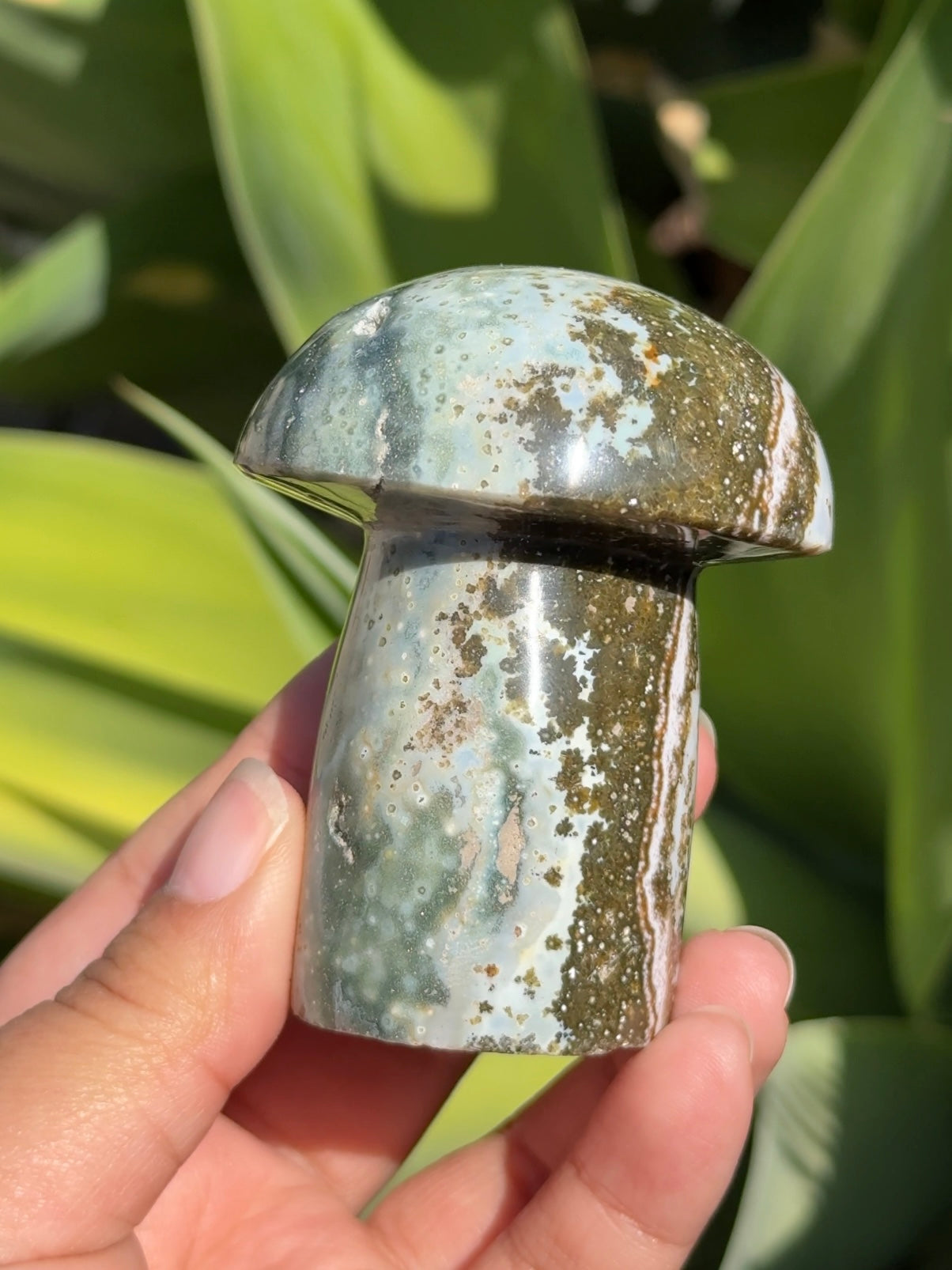 
                  
                    Ocean Jasper Mushroom
                  
                