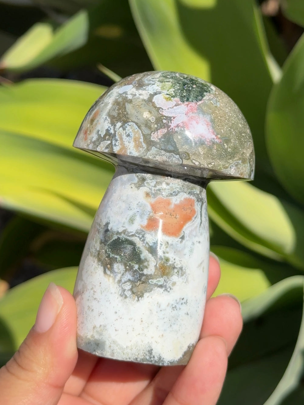 Ocean Jasper Mushroom