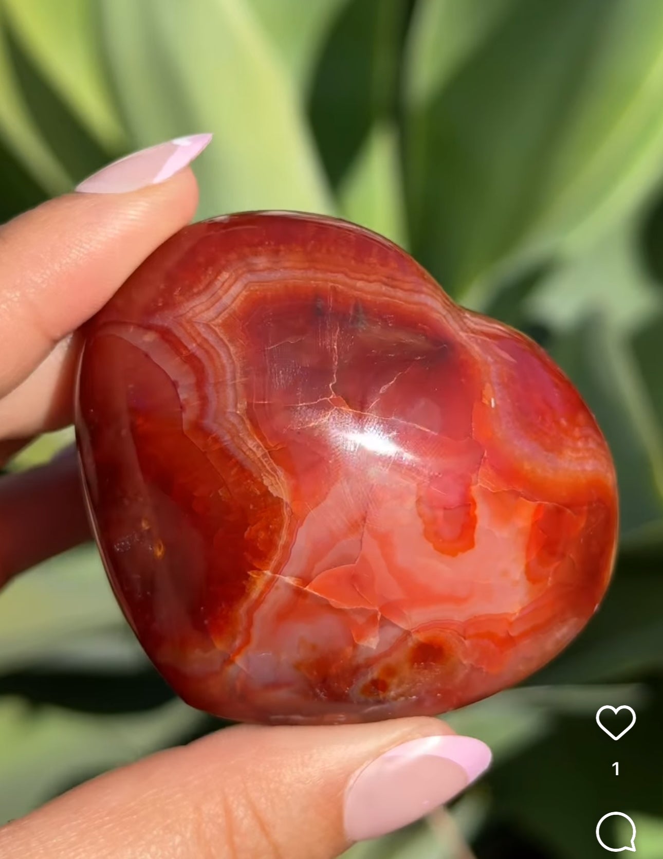 
                  
                    RESERVED LISTING - catniss_evergreen
                  
                