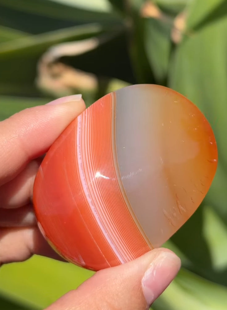 
                  
                    RESERVED LISTING - im_just_walkin_here
                  
                