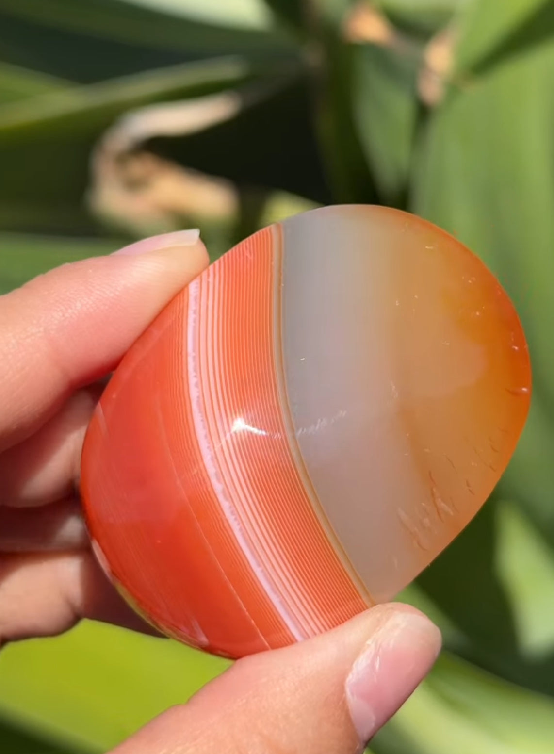 
                  
                    RESERVED LISTING - im_just_walkin_here
                  
                