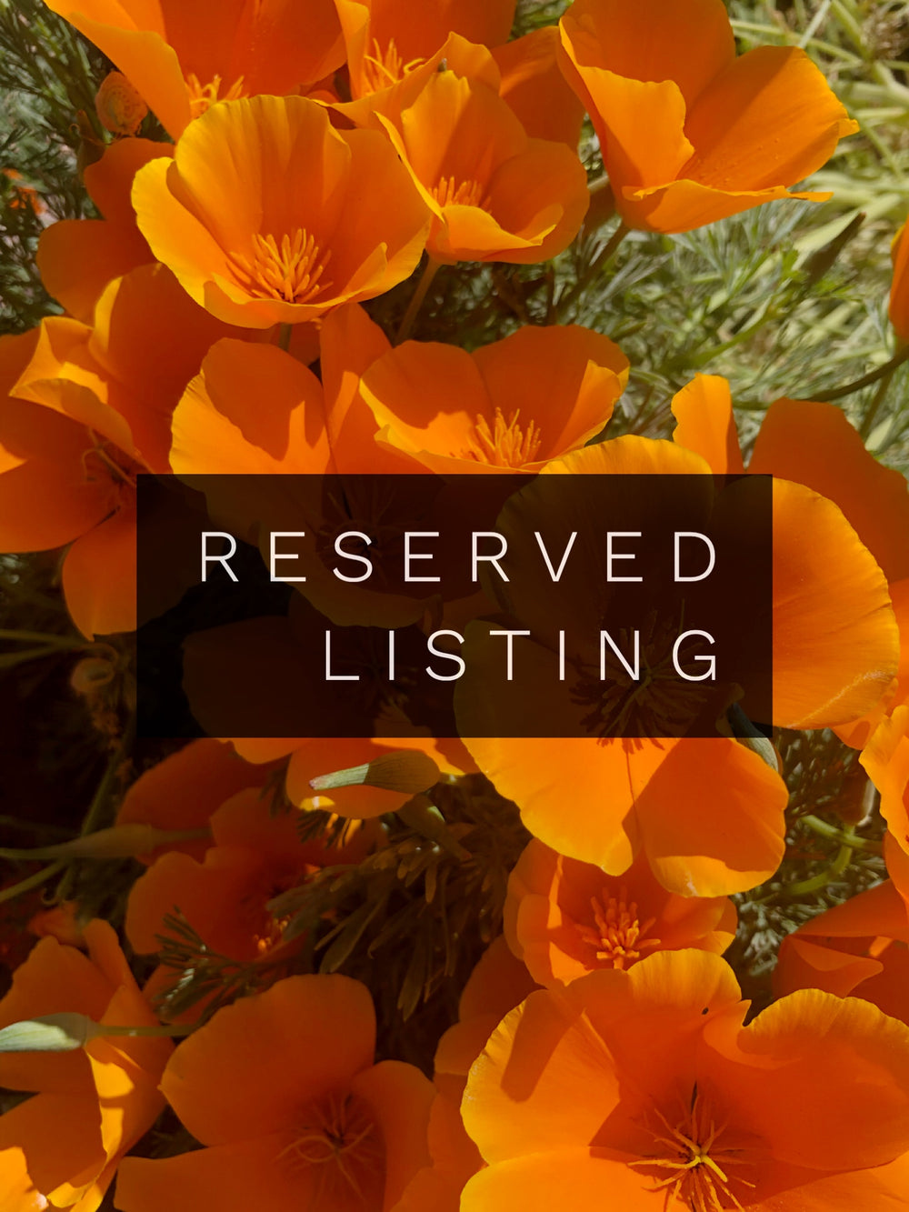 RESERVED LISTING - caniskrysta