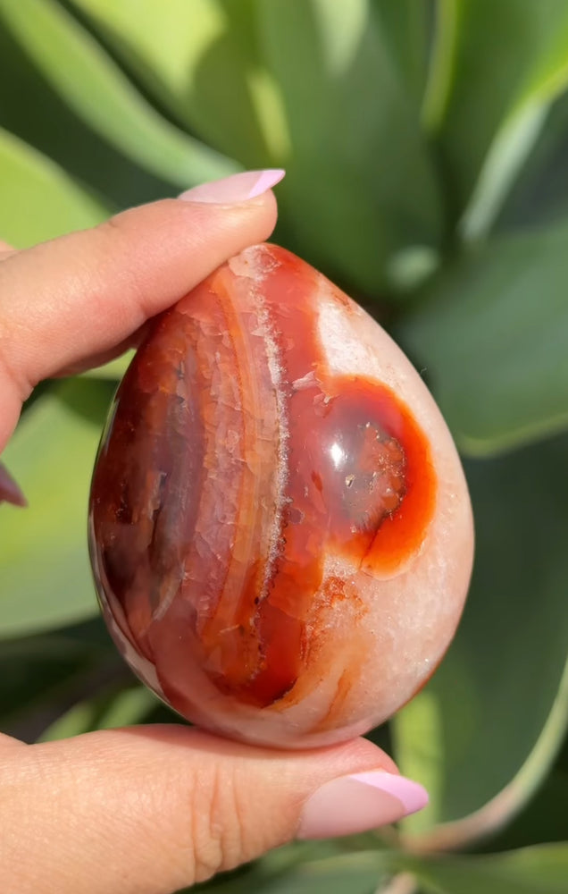 
                  
                    RESERVED LISTING - apollothelifesavingservicedog
                  
                