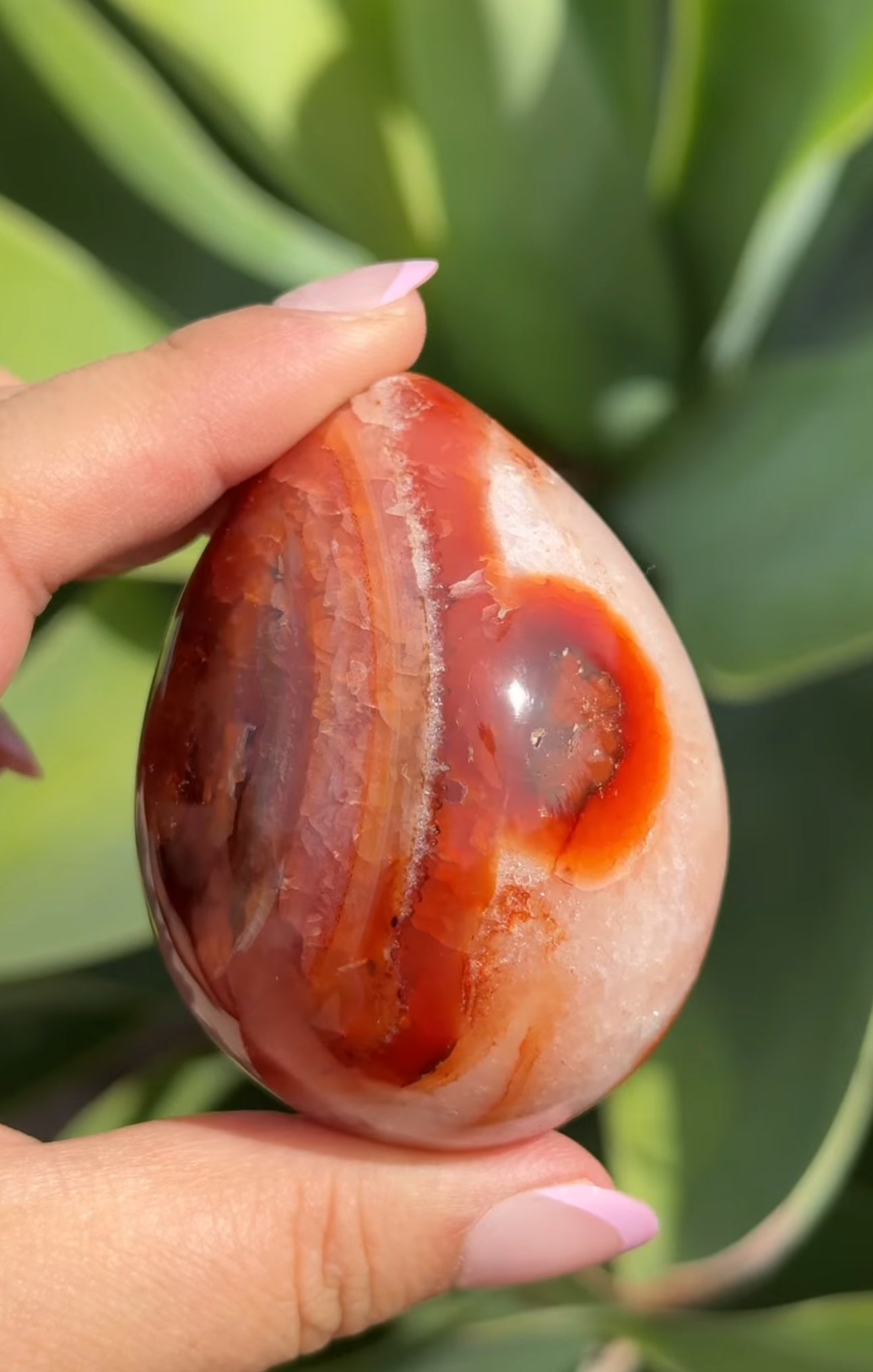 
                  
                    RESERVED LISTING - apollothelifesavingservicedog
                  
                