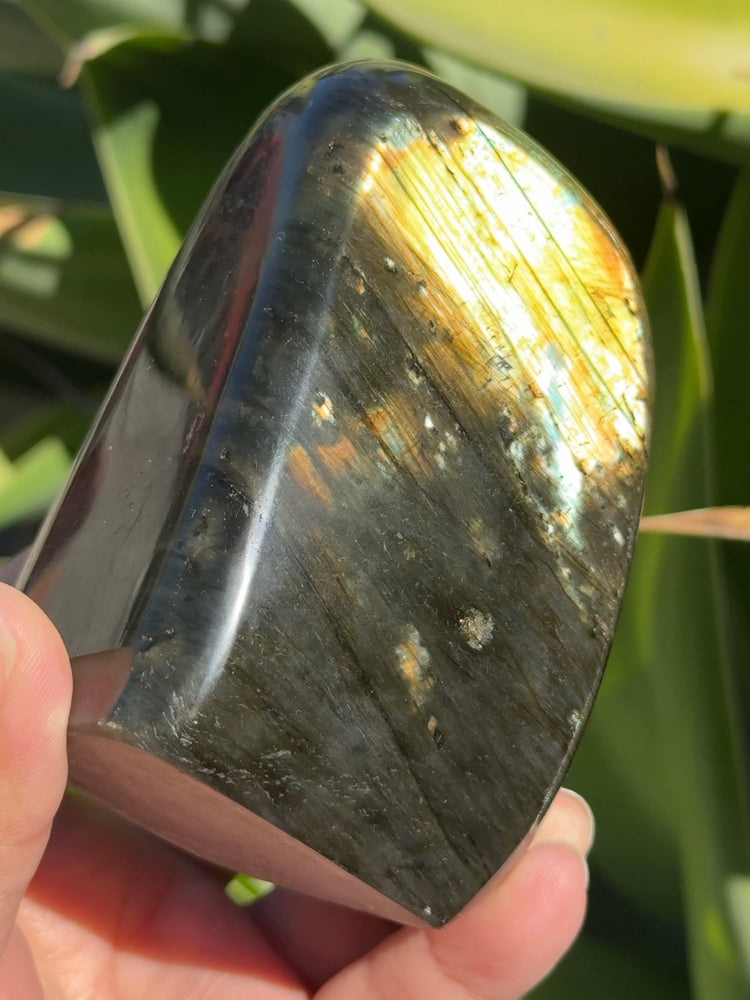 
                  
                    Labradorite Freeform
                  
                