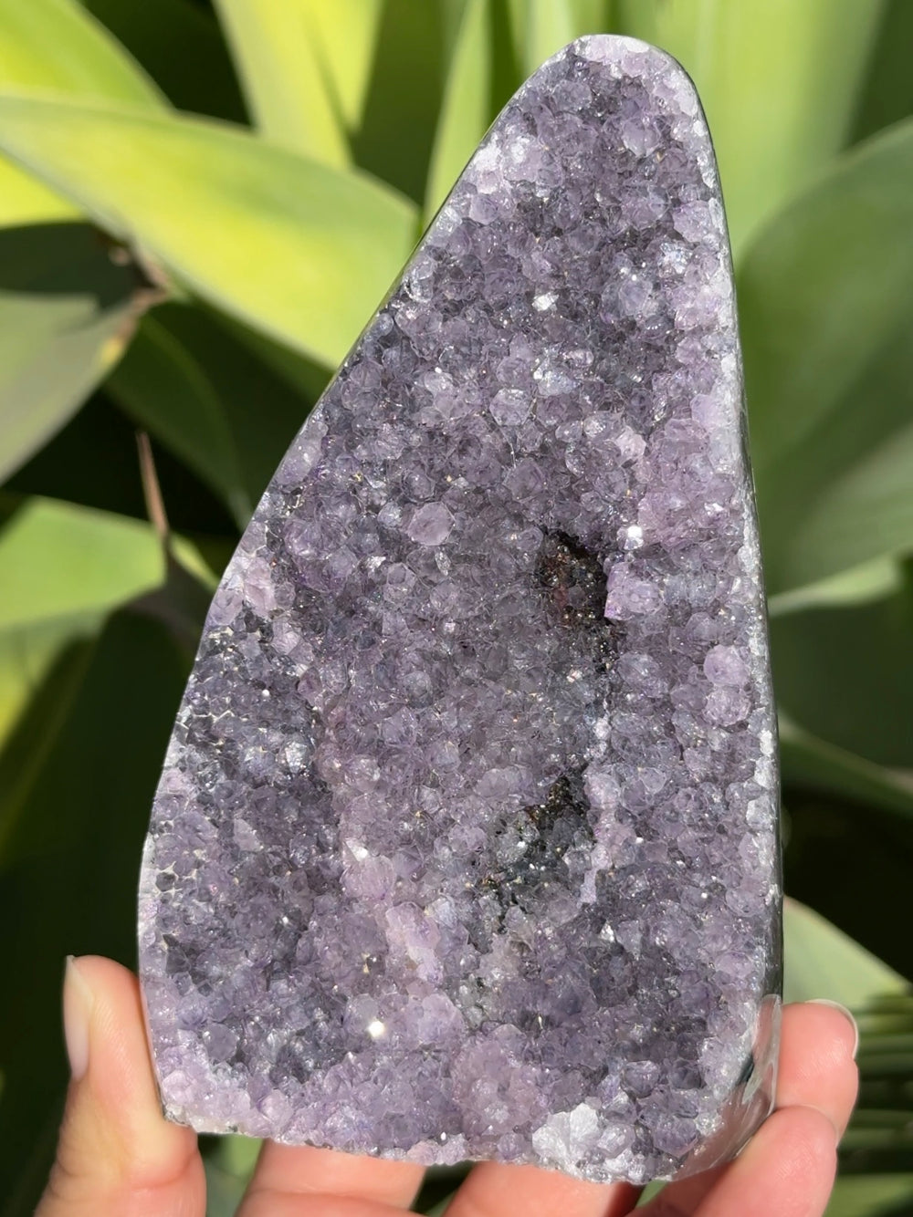 Amethyst Cut Base