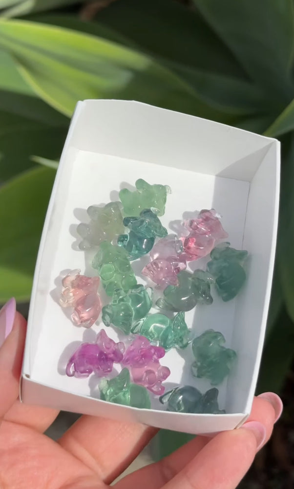 
                  
                    RESERVED LISTING - erinfetz
                  
                