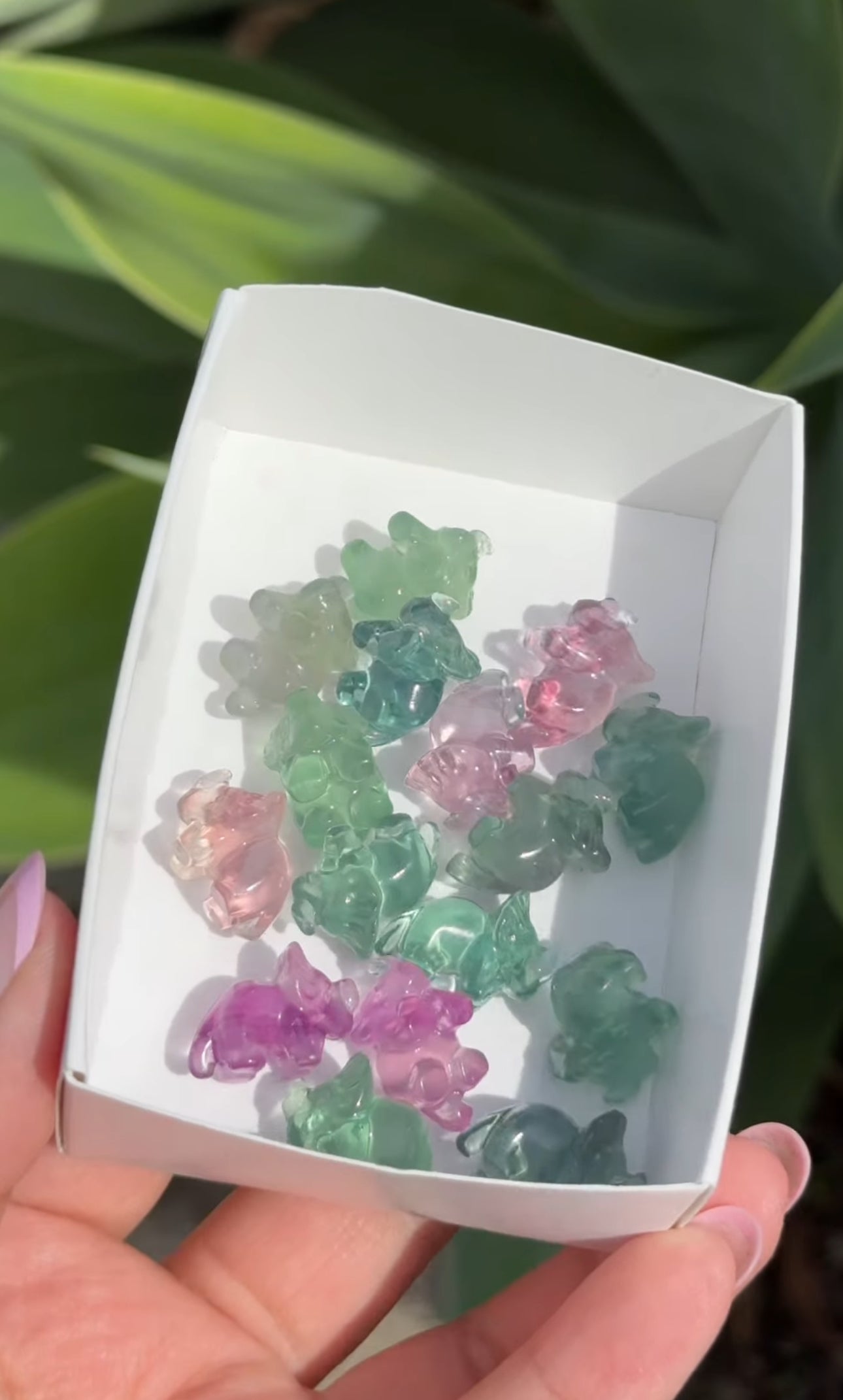 
                  
                    RESERVED LISTING - erinfetz
                  
                