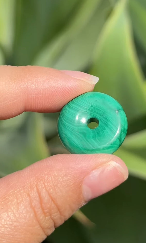 
                  
                    RESERVED LISTING - apollothelifesavingservicedog
                  
                