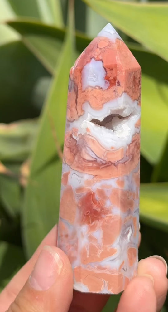 
                  
                    RESERVED LISTING - im_just_walkin_here
                  
                