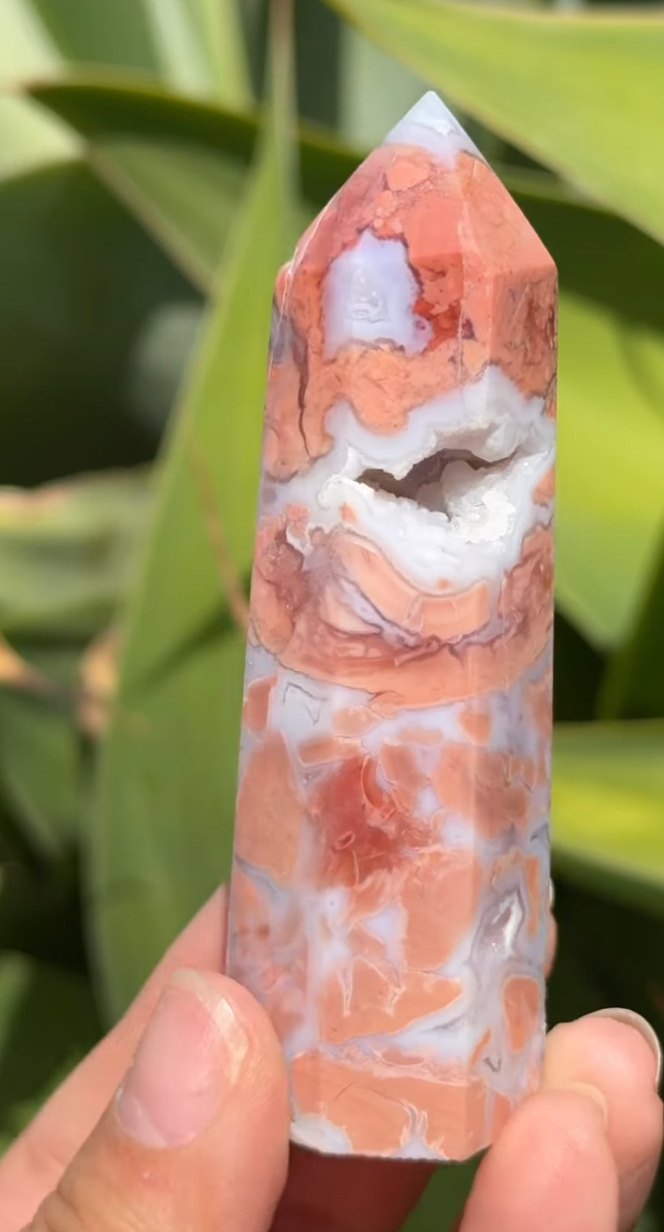 
                  
                    RESERVED LISTING - im_just_walkin_here
                  
                