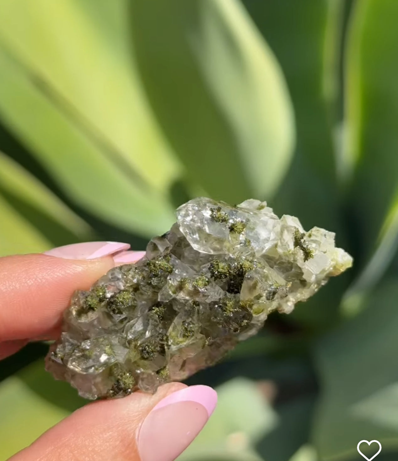 
                  
                    RESERVED LISTING - mango.black.tea
                  
                