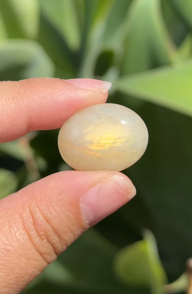 
                  
                    RESERVED LISTING - athleticdancerdialogue
                  
                