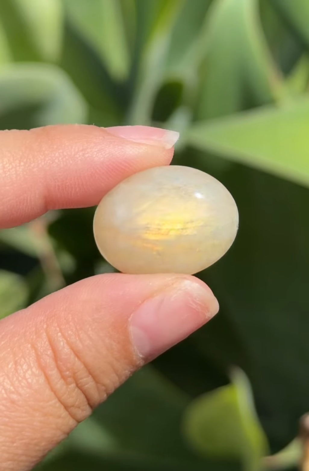 
                  
                    RESERVED LISTING - athleticdancerdialogue
                  
                