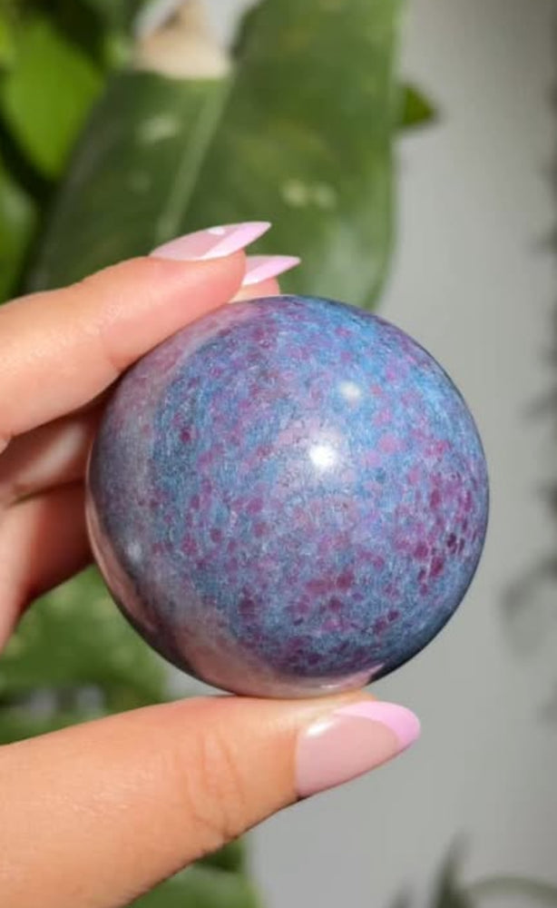 
                  
                    RESERVED LISTING - apollothelifesavingservicedog
                  
                