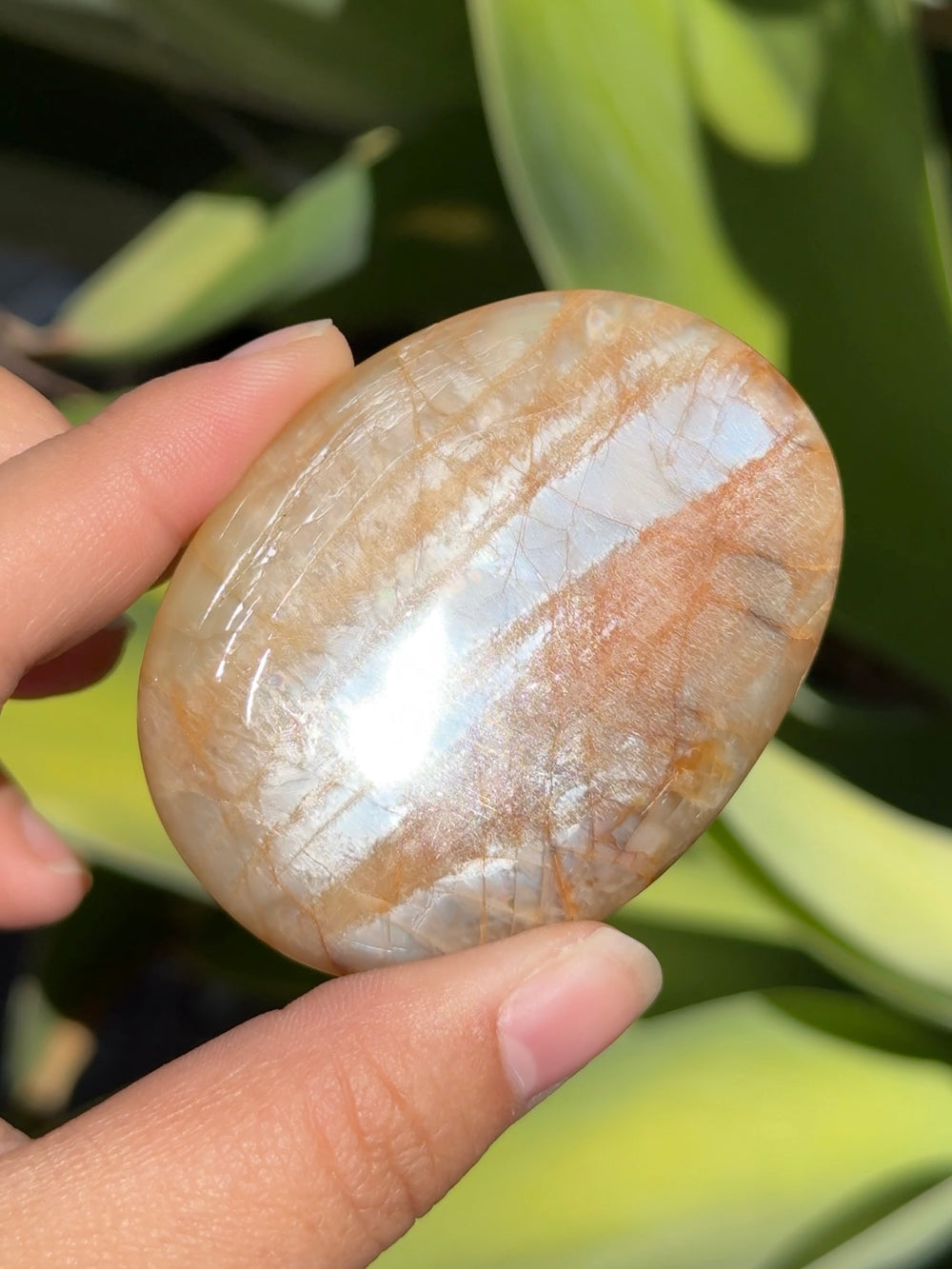 Peach Moonstone Palm Stone