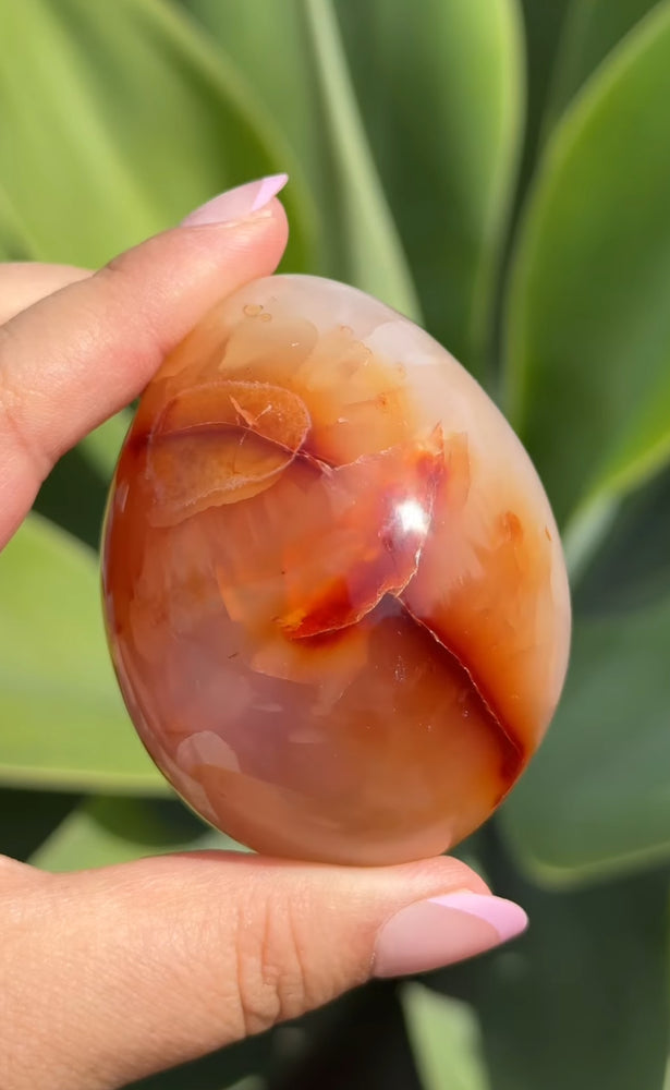 
                  
                    RESERVED LISTING - ak_miller226
                  
                