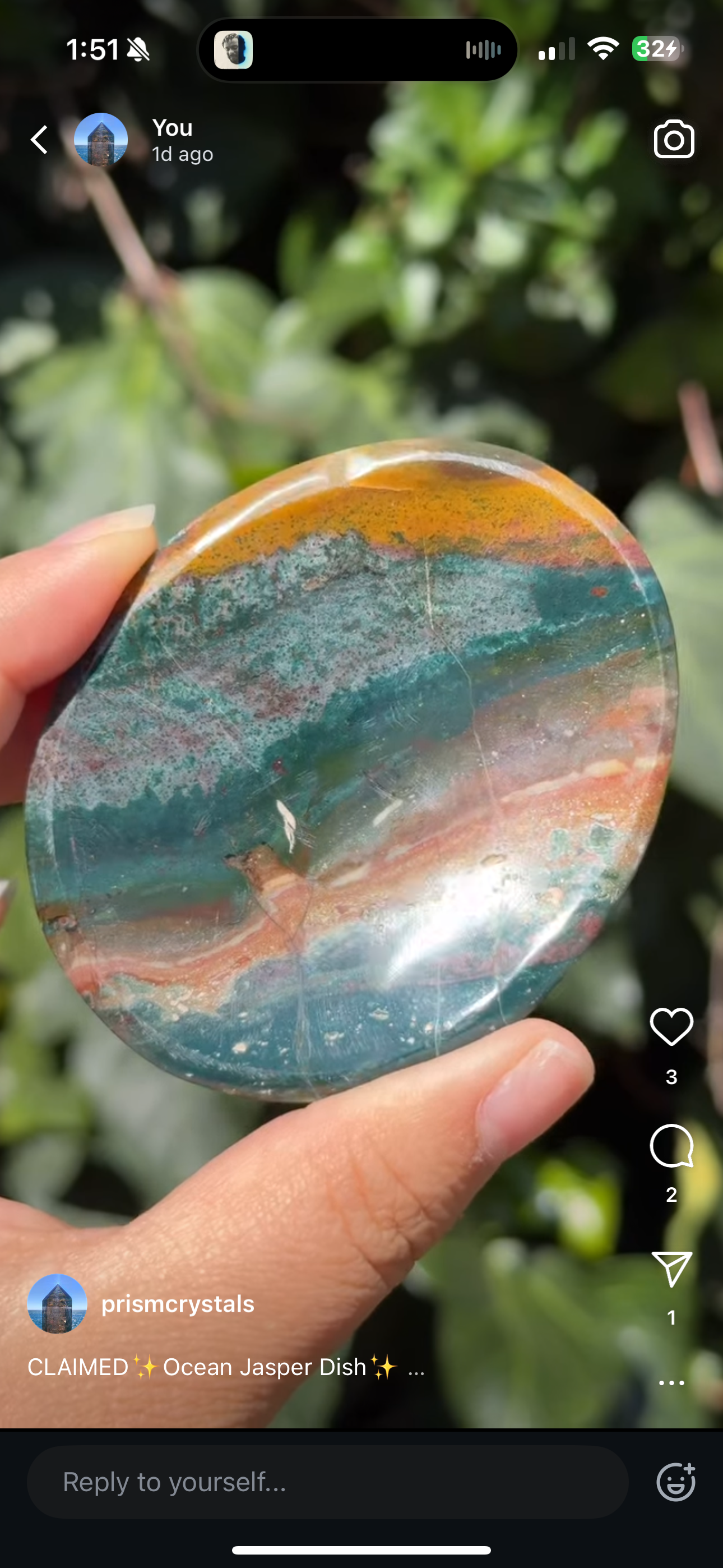 
                  
                    RESERVED LISTING - apollothelifesavingservicedog
                  
                