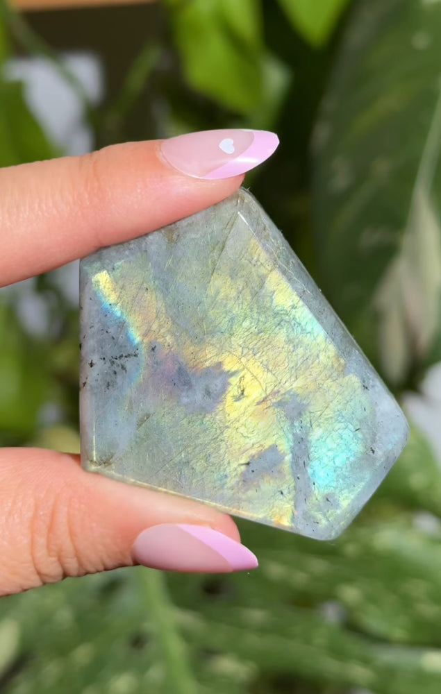 
                  
                    RESERVED LISTING - jessicasoloverly
                  
                