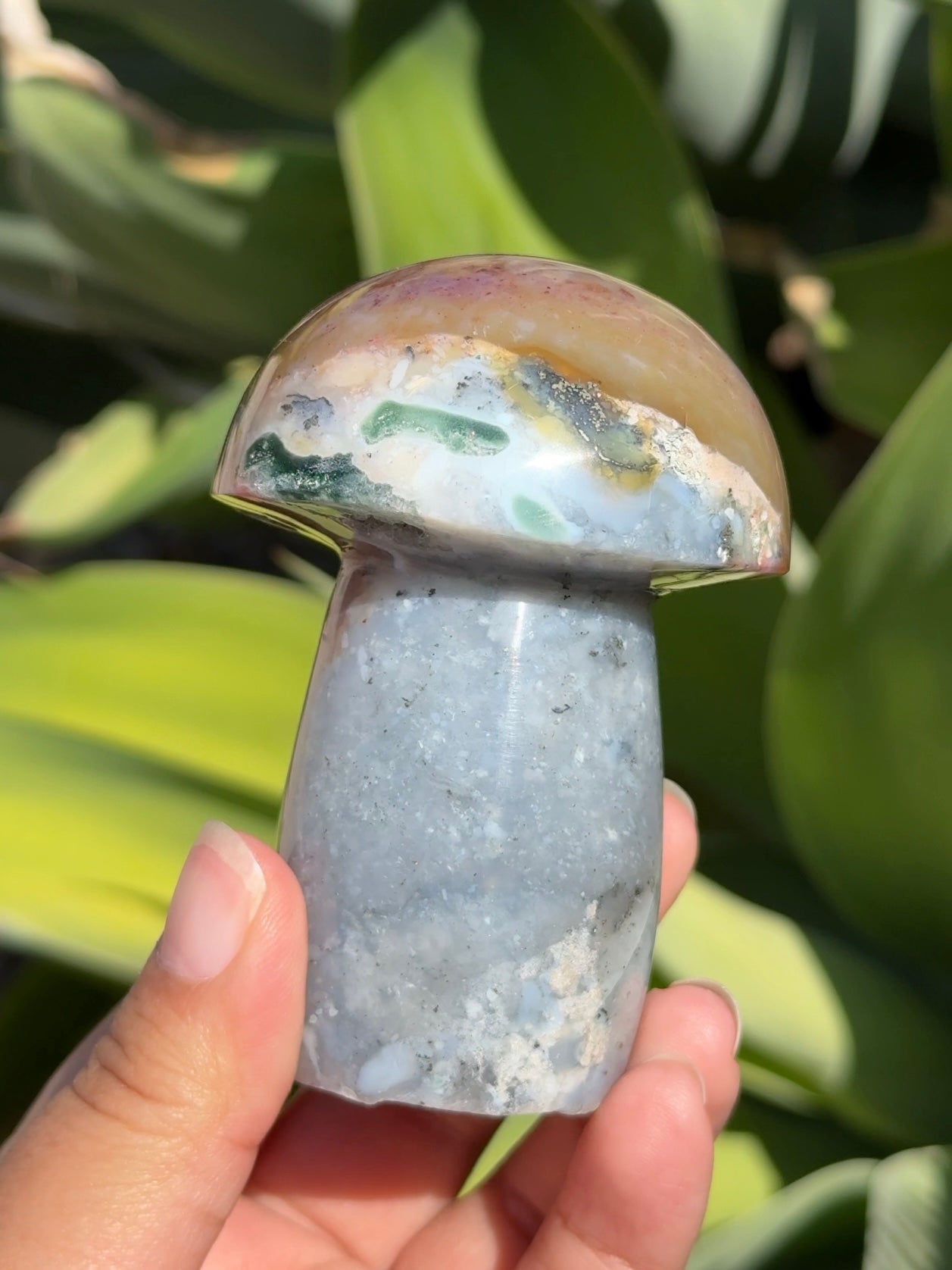 
                  
                    Ocean Jasper Mushroom
                  
                