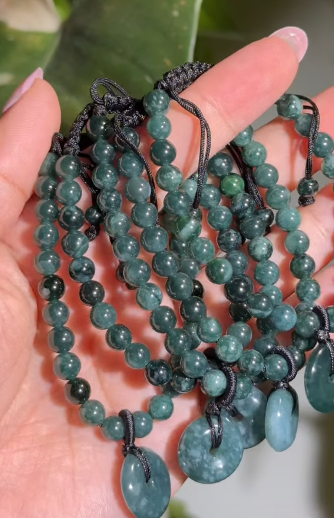 
                  
                    RESERVED LISTING - apollothelifesavingservicedog
                  
                