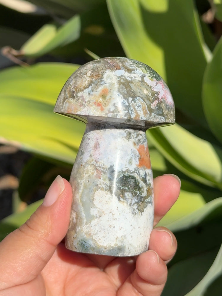 
                  
                    Ocean Jasper Mushroom
                  
                