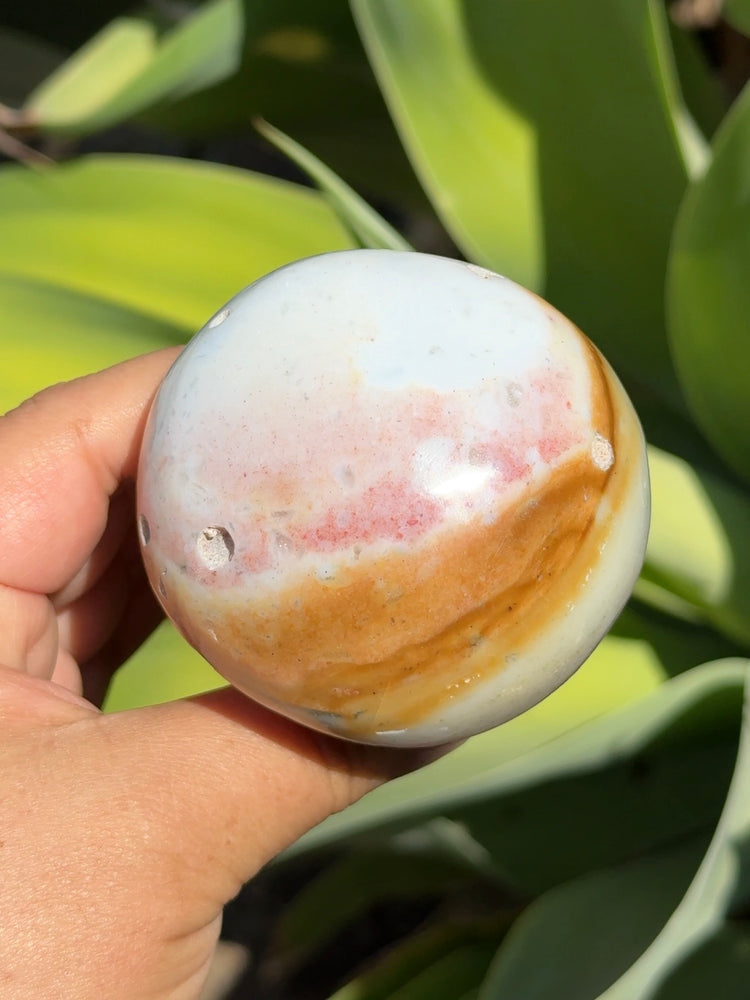 
                  
                    Ocean Jasper Mushroom
                  
                