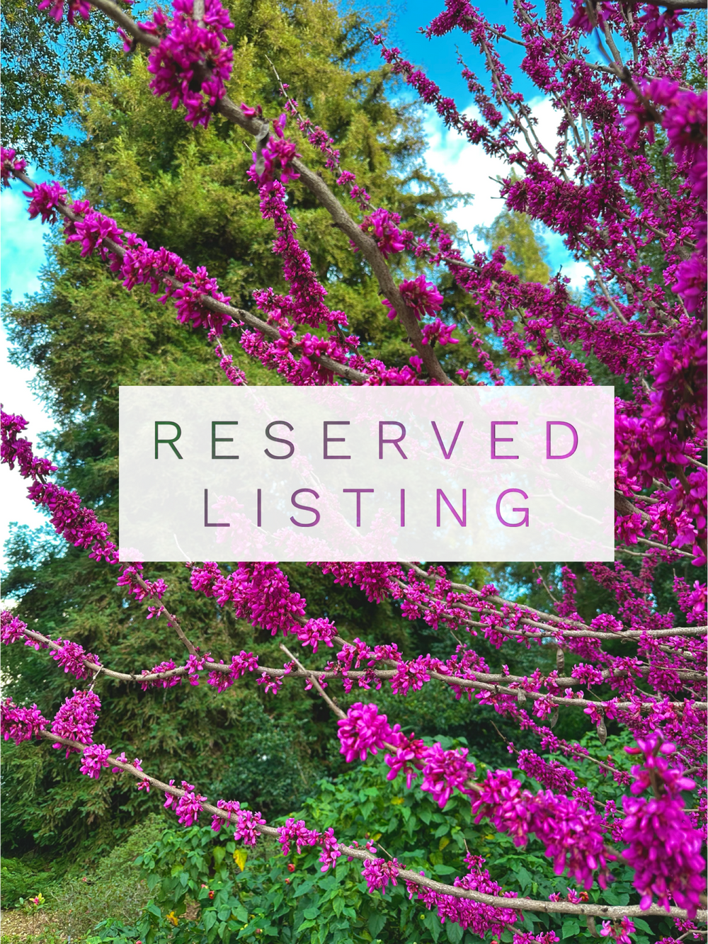 RESERVED LISTING - fireflyinthefields