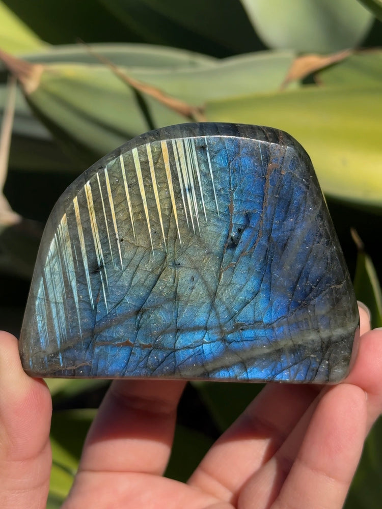 
                  
                    Labradorite Freeform
                  
                