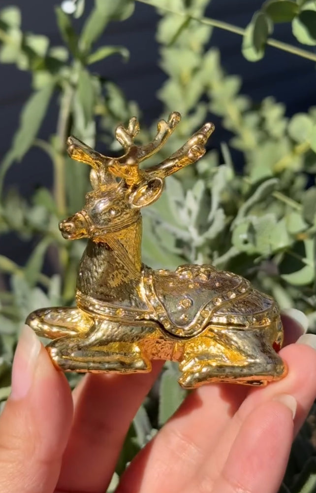 
                  
                    RESERVED LISTING - apollothelifesavingservicedog
                  
                