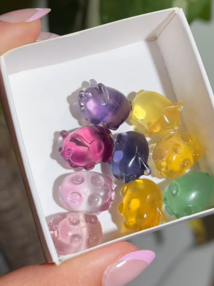 
                  
                    RESERVED LISTING - apollothelifesavingservicedog
                  
                