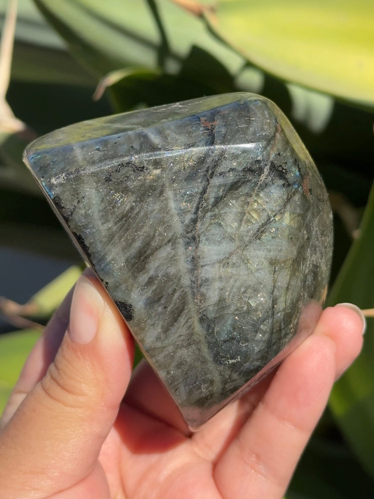 
                  
                    Labradorite Freeform
                  
                