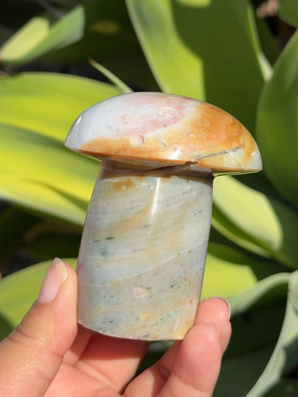 Ocean Jasper Mushroom