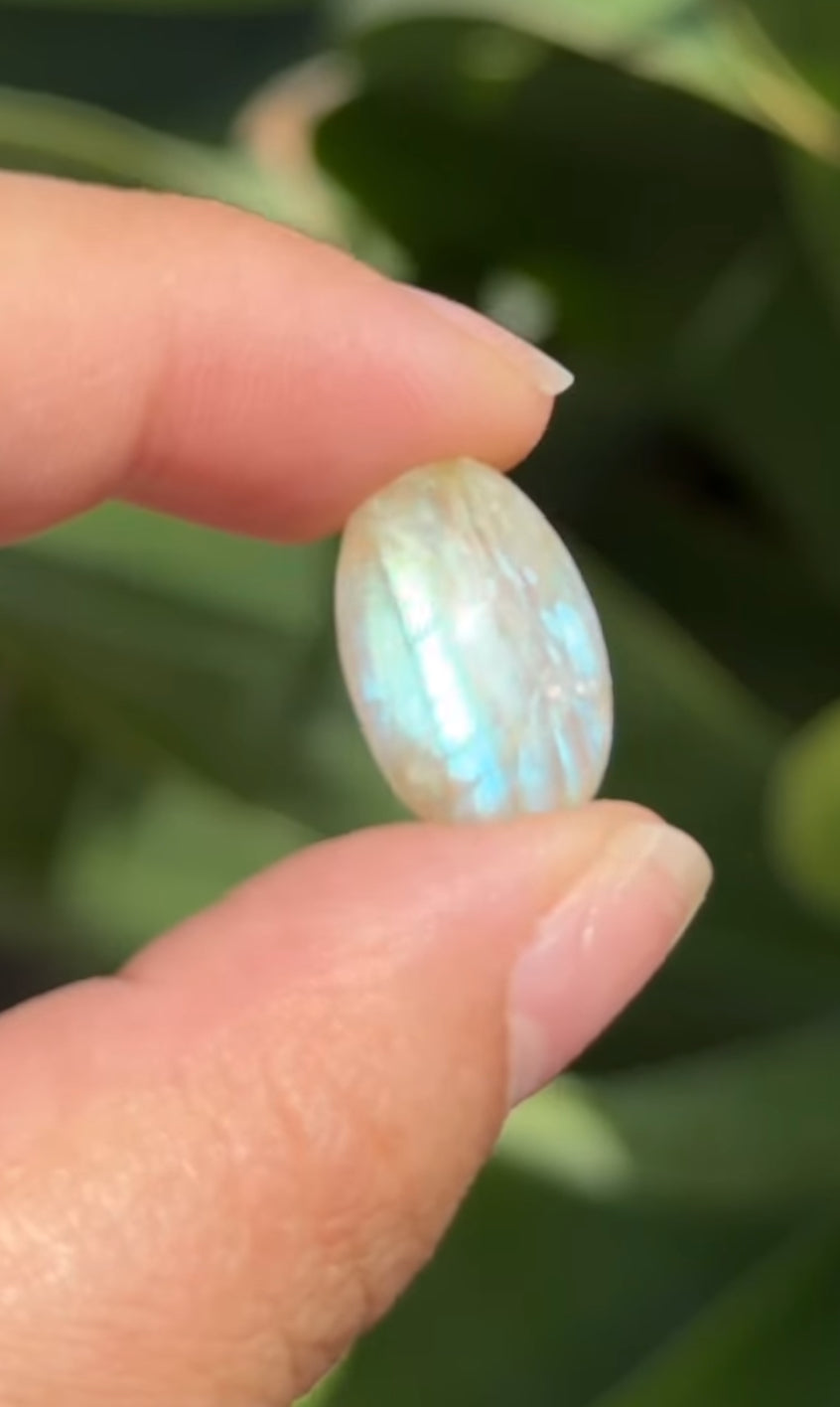 
                  
                    RESERVED LISTING - solarly_challenged
                  
                