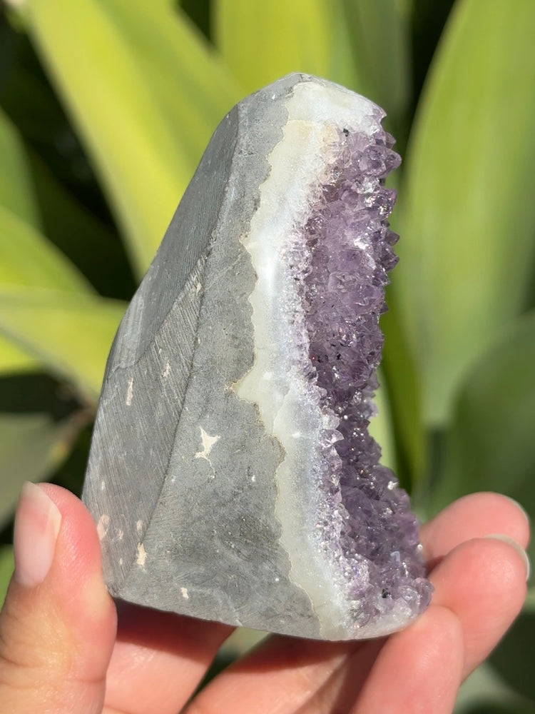 
                  
                    Amethyst Cut Base
                  
                