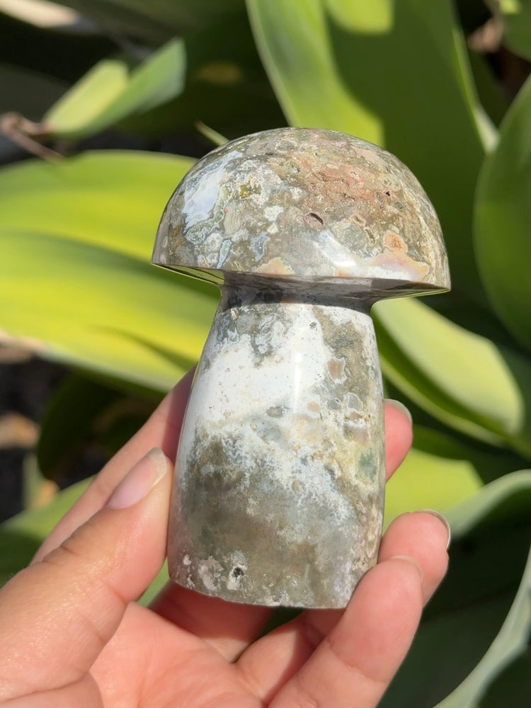 
                  
                    Ocean Jasper Mushroom
                  
                