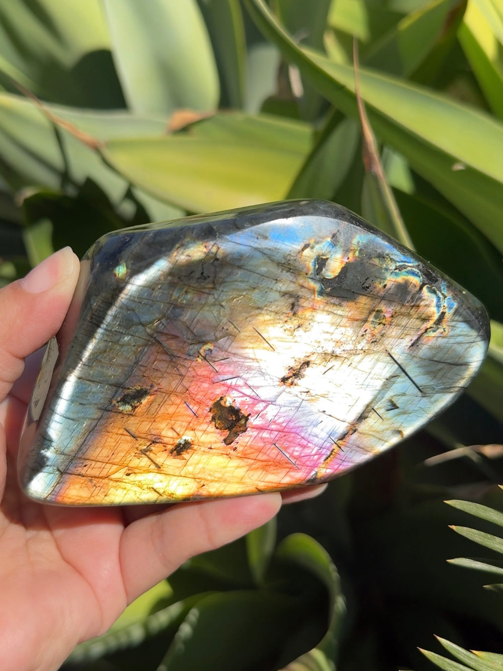 Labradorite Freeform