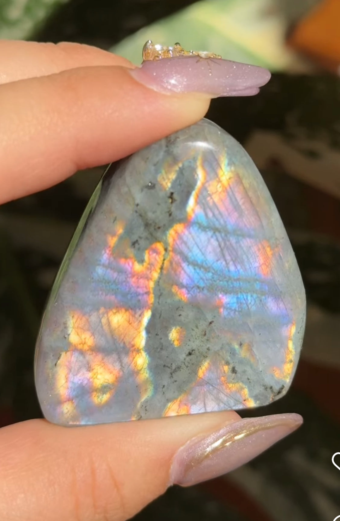 
                  
                    RESERVED LISTING - huskies_n_moon
                  
                