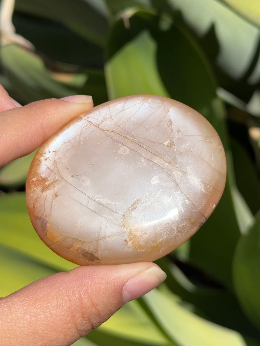 Peach Moonstone Palm Stone