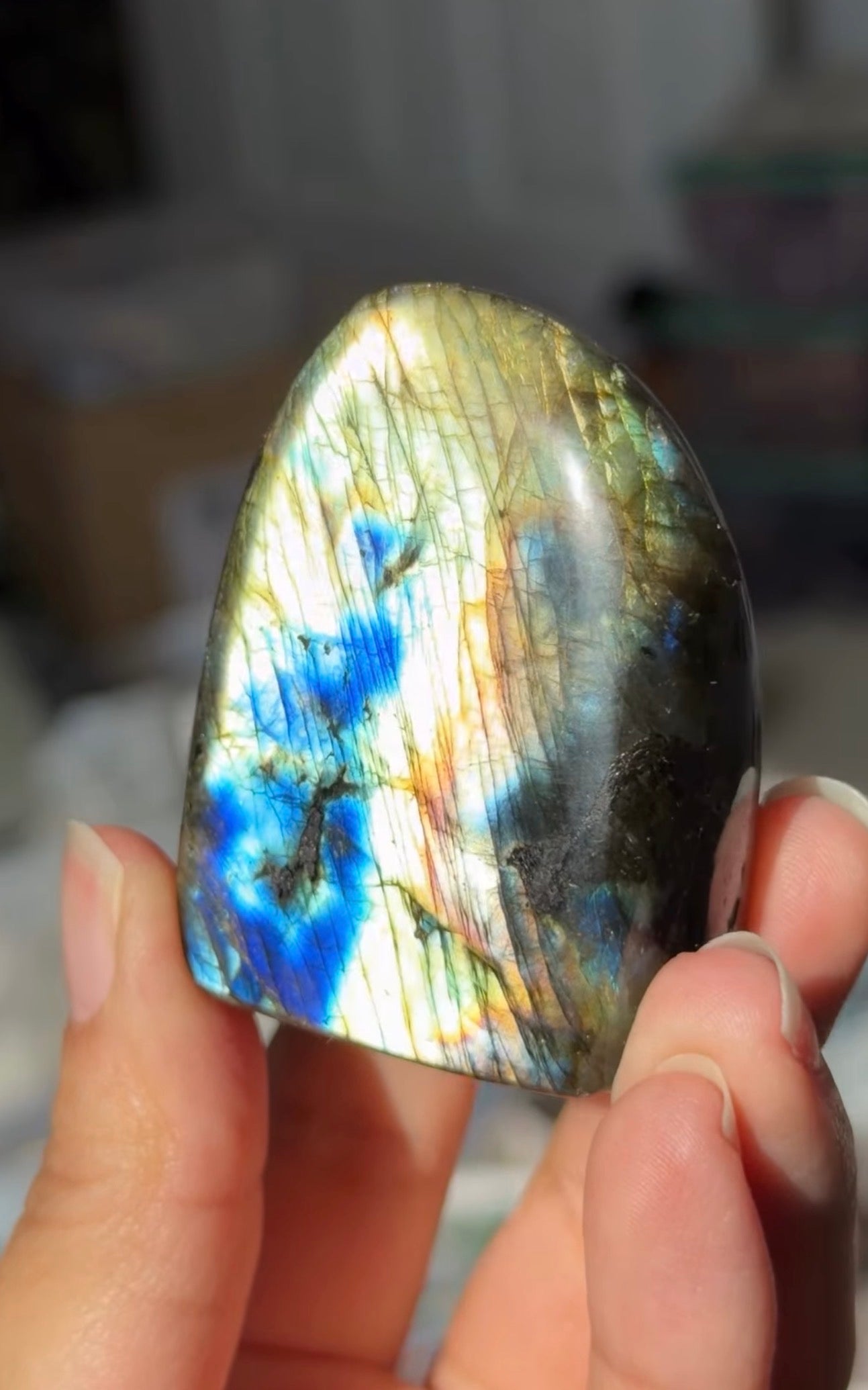 
                  
                    RESERVED LISTING - crystal.bunny23
                  
                
