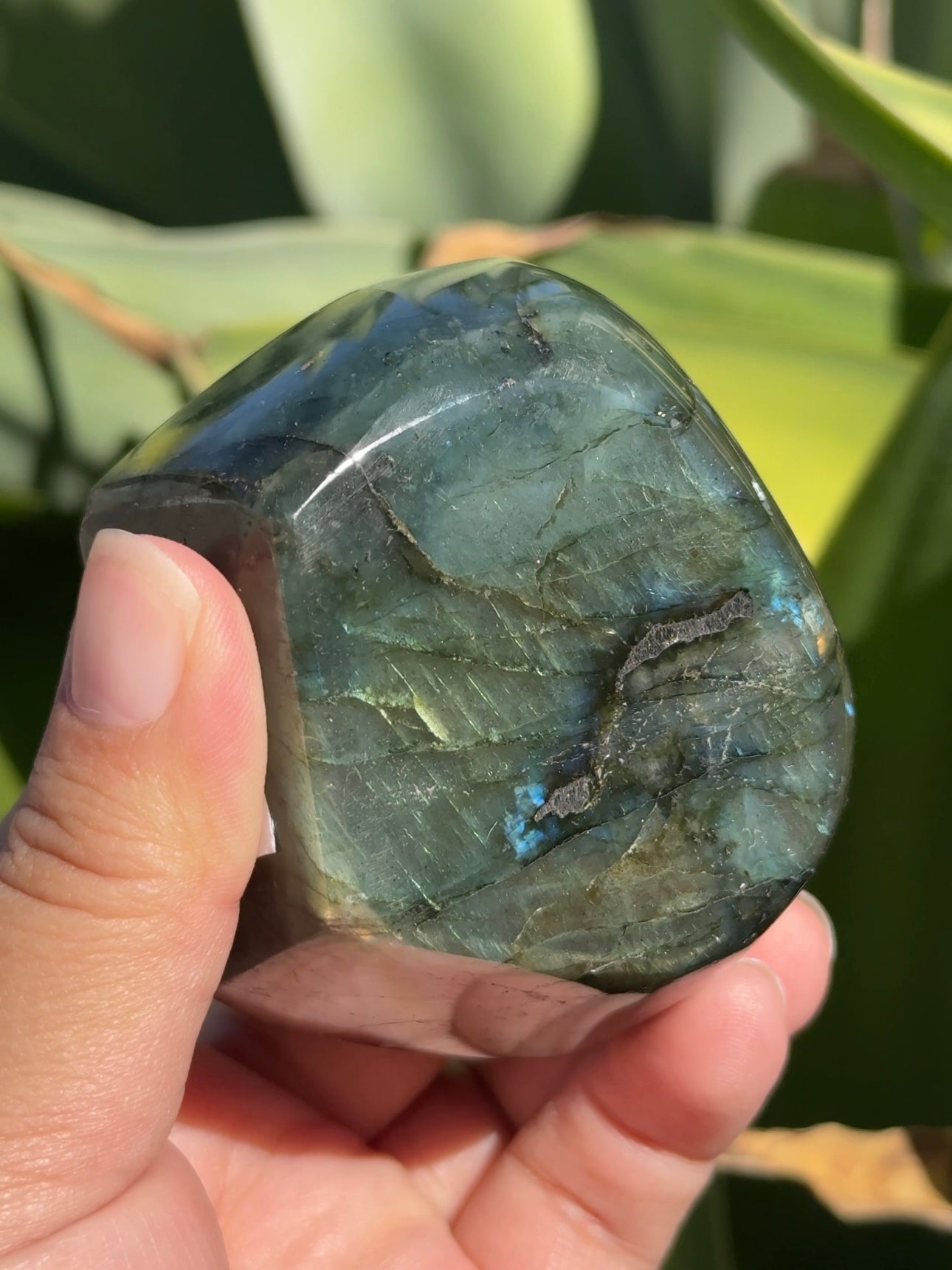 
                  
                    Labradorite Freeform
                  
                