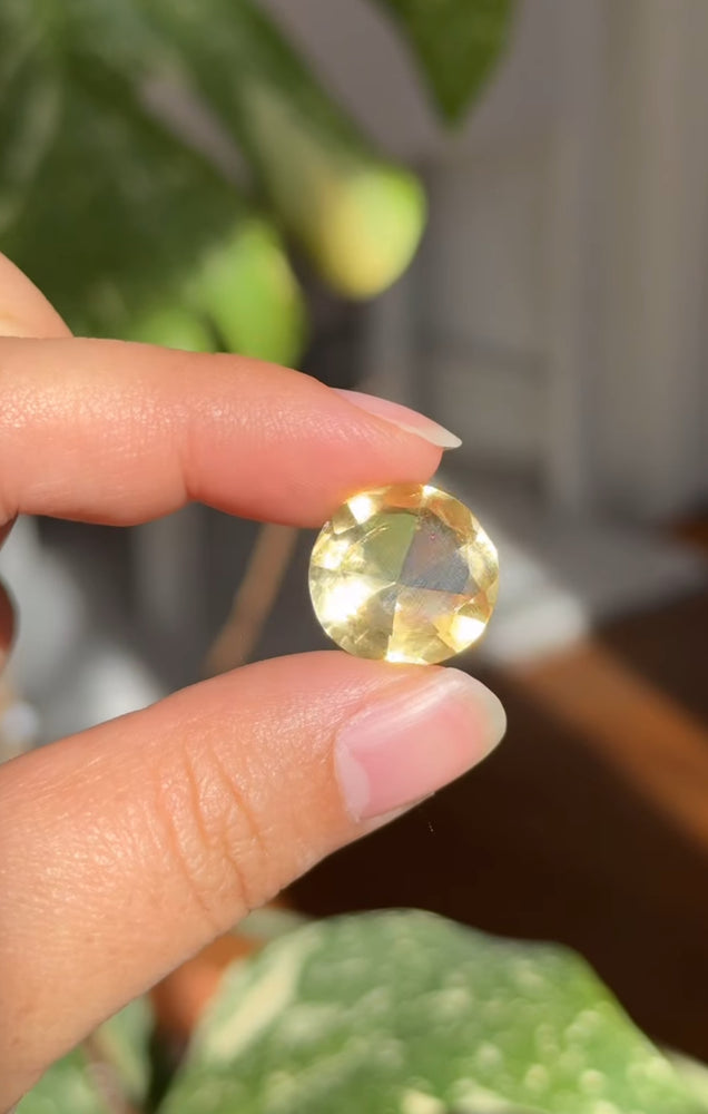 
                  
                    RESERVED LISTING - huskies_n_mom
                  
                