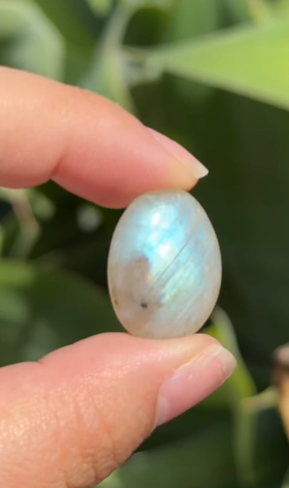 
                  
                    RESERVED LISTING - solarly_challenged
                  
                