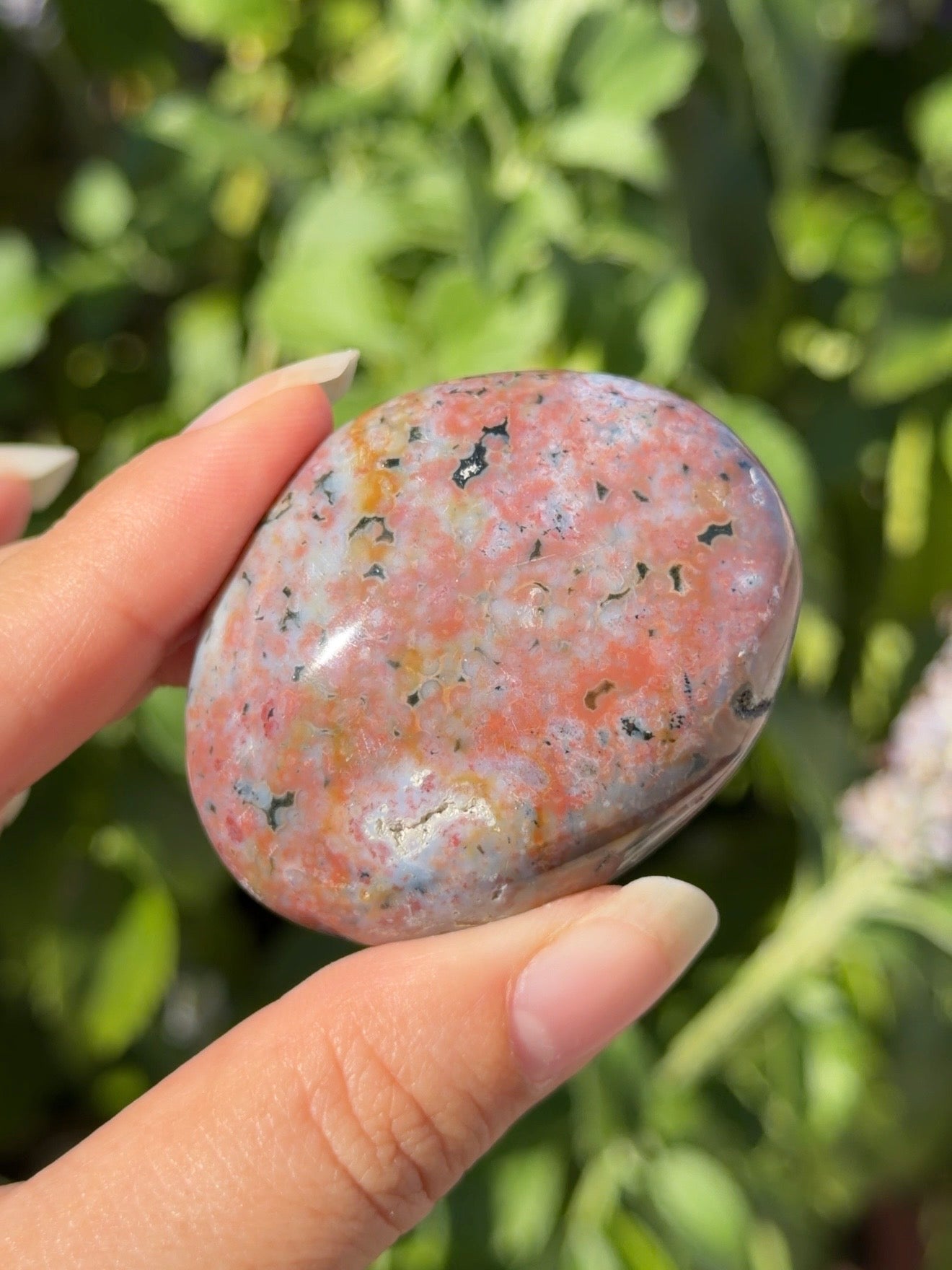 
                  
                    Ocean Jasper Palm Stone
                  
                