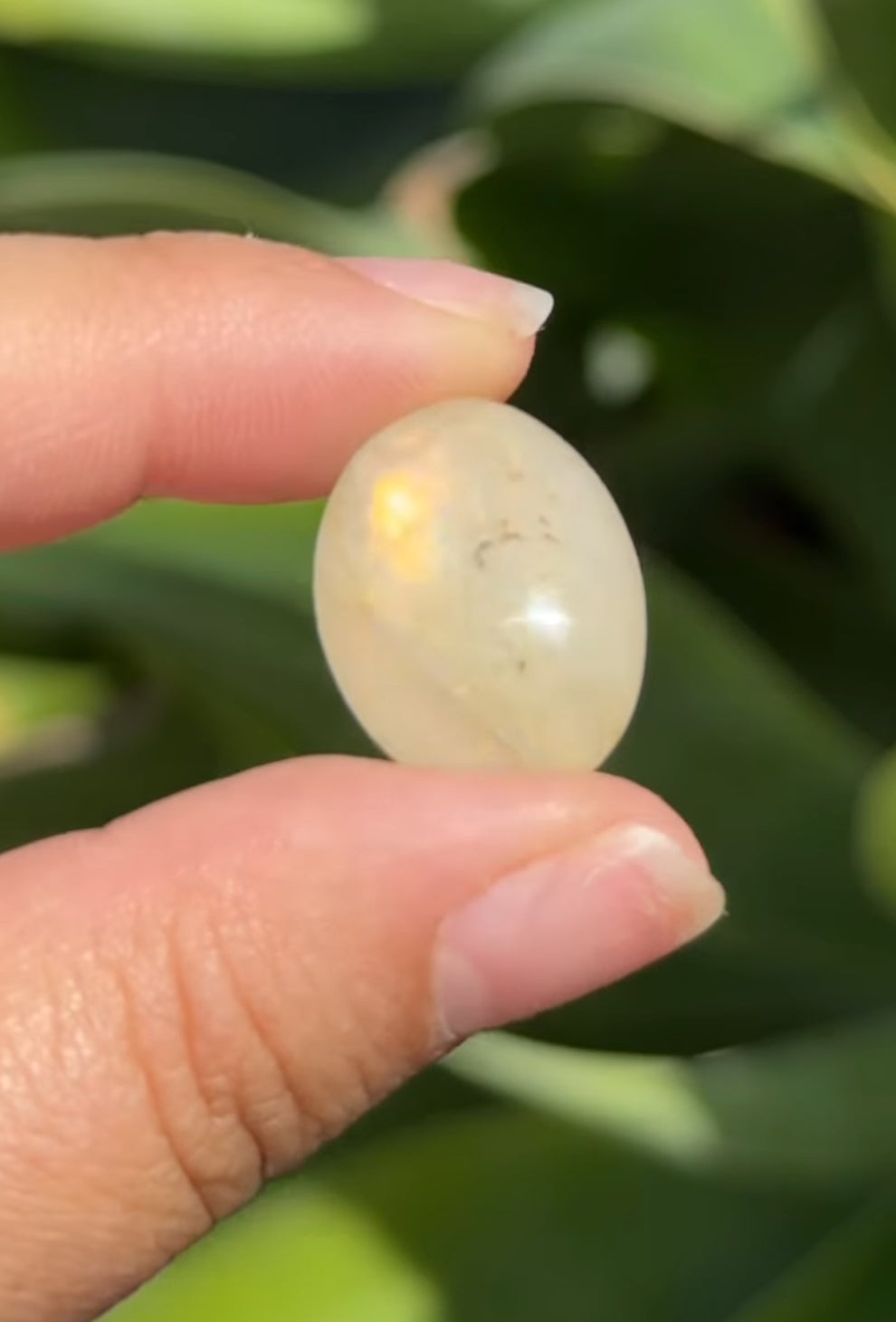 
                  
                    RESERVED LISTING - im_just_walkin_here
                  
                