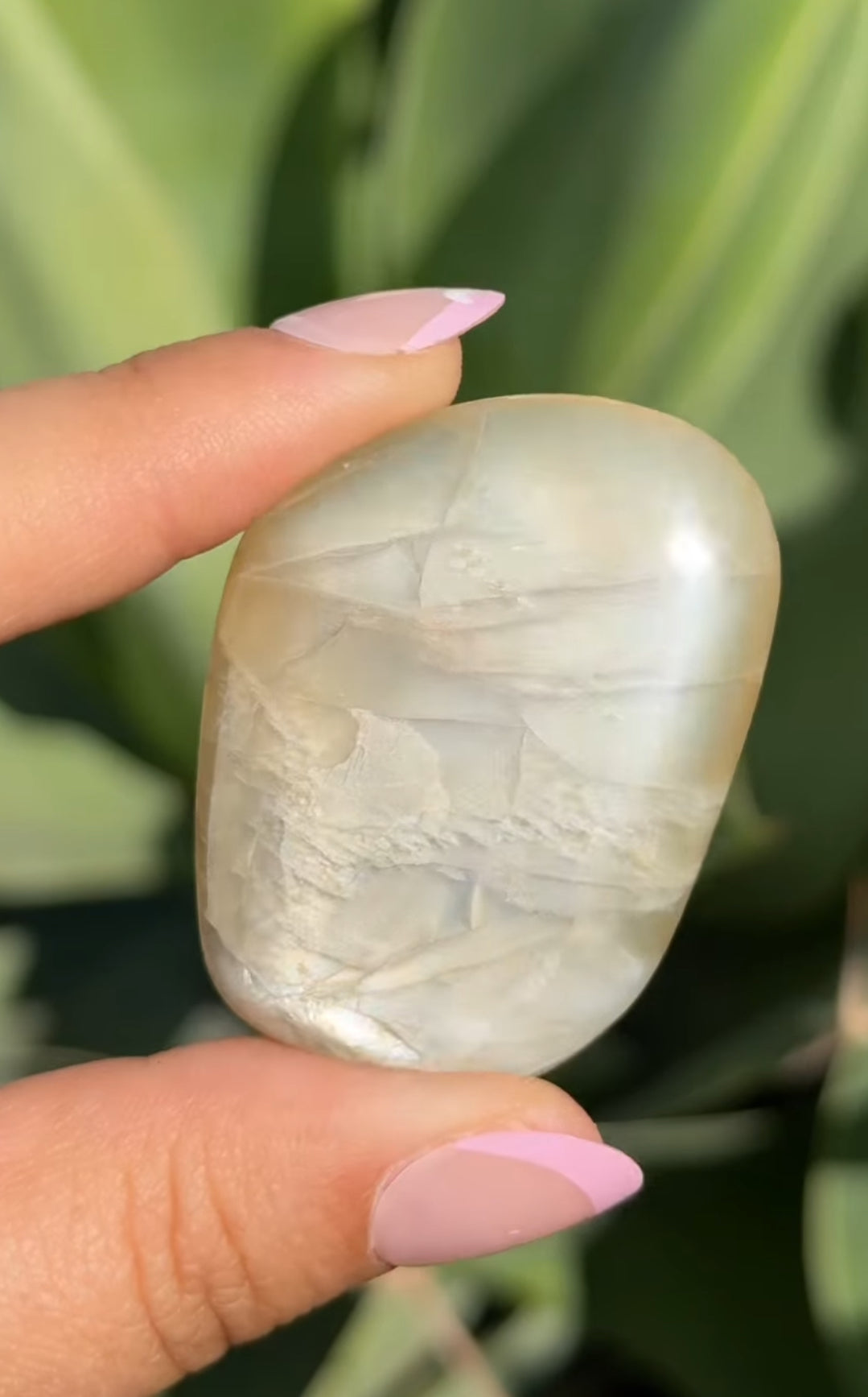 
                  
                    RESERVED LISTING - solarly_challenged
                  
                