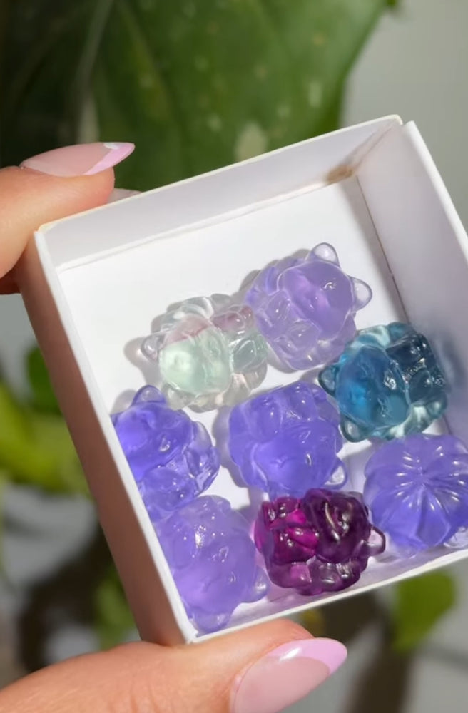 
                  
                    RESERVED LISTING - apollothelifesavingservicedog
                  
                